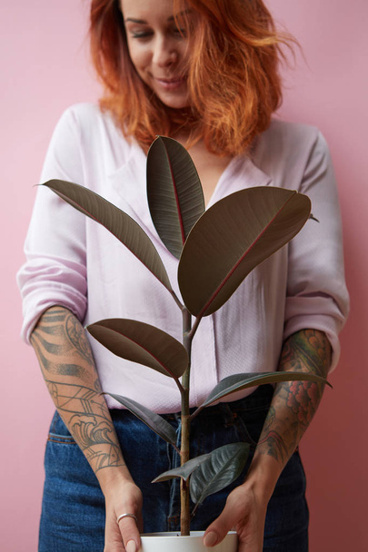 Red-haired happy girl with a tattoo holding a flowerpot with a ficus plant on a pink background with space for text. Birthday gift concept - Foto, Imagem