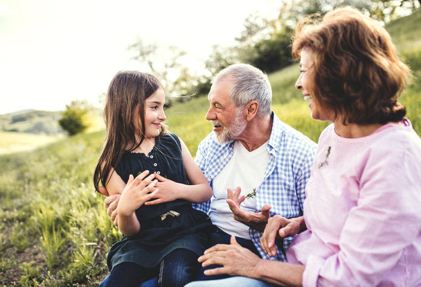 Senior couple with granddaughter outside in spring nature, relaxing on the grass. - Φωτογραφία, εικόνα