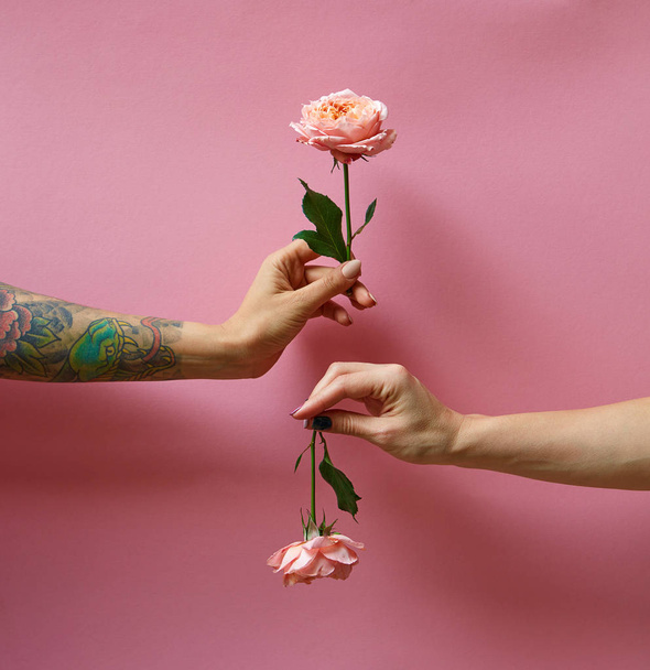 Fresh living coral colored two roses in the female's hands with tattoo and without drawing on a pink background, place for text. Congratulation card for Mother's or Woman's Day. - Fotó, kép