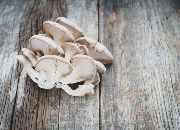 fresh mushrooms on background,close up - Zdjęcie, obraz