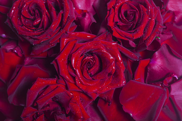 赤いバラと花びらの自然な背景 - 写真・画像