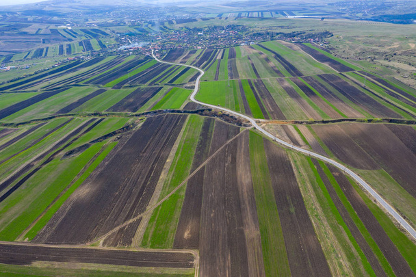 Aerial drone view of agricultural fields of plowed crops  - Foto, immagini