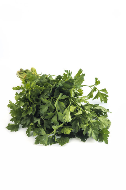 parsley bunch tied  isolated on white background - Photo, Image