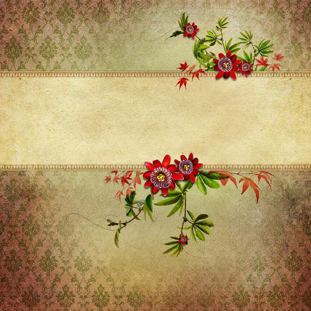 Vintage flower background - Фото, изображение