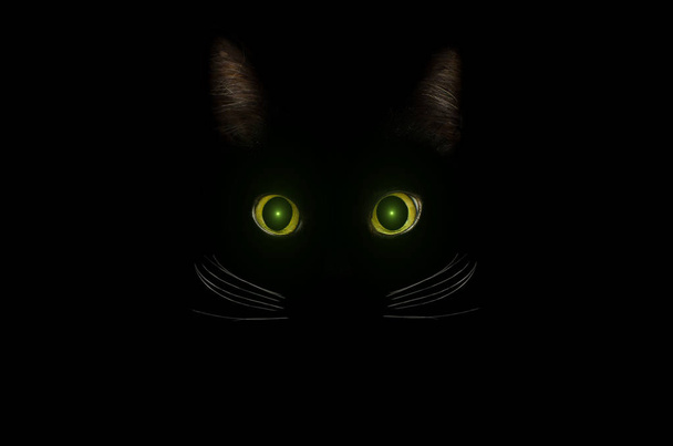 Musta kissa käsite, tumma salaperäinen tyyli. Hehkuva keltainen vihreä c
 - Valokuva, kuva