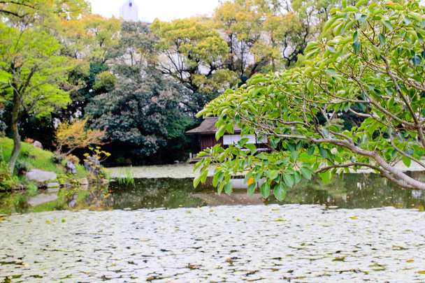 ogrodu Shosei EN Garden w: Japan - Zdjęcie, obraz