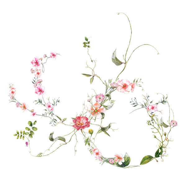 aquarela pintura de folhas e flores, sobre fundo branco  - Foto, Imagem