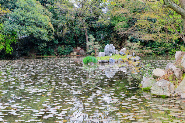 shosei en garden Japanissa
 - Valokuva, kuva