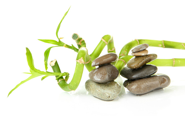 Still life with green bamboo plant and stones, isolated on white - Photo, Image