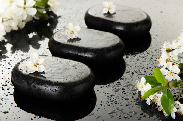 Spa stones and white flowers on dark background - Foto, immagini