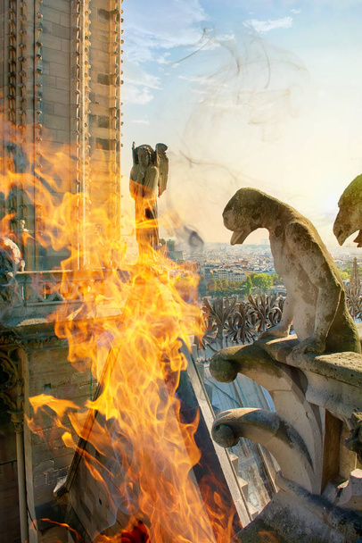 Chimeras in fire on Notre Dame - Photo, Image