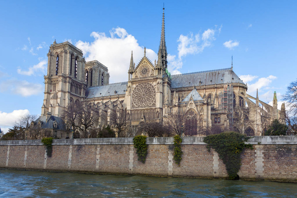 Notre Damen katedraali Pariisissa. Kevätnäkymä. Seine-joen toiselta puolelta otettu sivukorkeus torneineen ja takalentävine tukipilareineen
.  - Valokuva, kuva