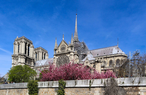Cattedrale di Notre Dame in primavera. Prima dell'incendio. aprile 05, 2019
. - Foto, immagini