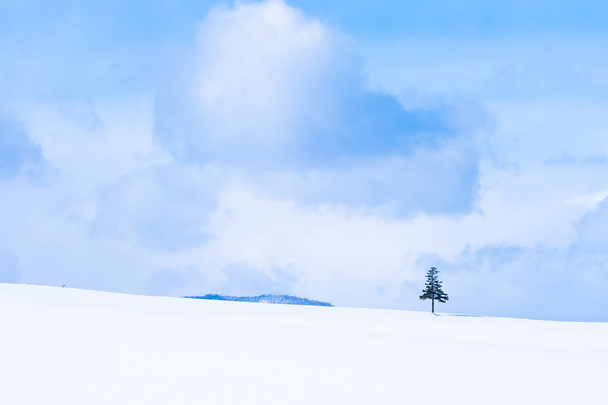 Bellissimo paesaggio naturale all'aperto e albero di Natale nella stagione invernale della neve con spazio copia
 - Foto, immagini