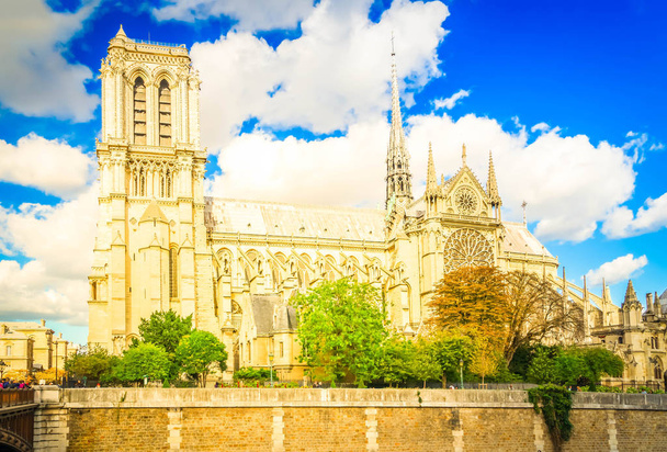 Notre Dame Katedrali, Paris Fransa - Fotoğraf, Görsel