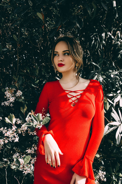 Young woman in stylish red dress posing in green bush  - Foto, afbeelding