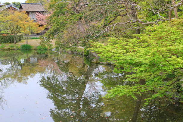 shosei en Garden v Japonsku - Fotografie, Obrázek