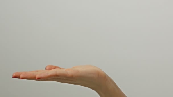 Close-up uitzicht van 1 vrouwelijke volwassen uitgerekt Kaukasische hand op grijze achtergrond houden niets. Jonge dames hand in gebaar als het tonen van iets virtueel en onzichtbaar. - Video