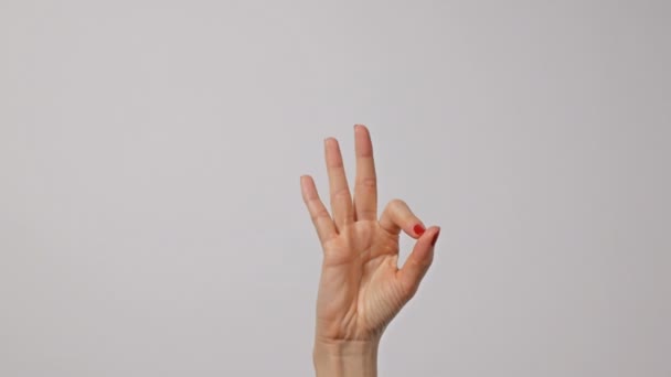 Vrouw hand gebaren ok symbool. Gegebaar, teken, symbool. Communicatie zonder praatconcept. - Video