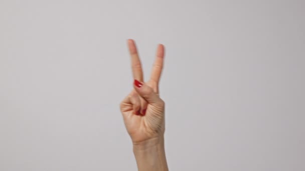 Жінка піднімає два пальці вгору і показує символ миру або перемоги або літера V. Жінка одна рука тримає два пальці вгору на мові жестів на світлому фоні. Нігті на пальцях зі свіжим червоним глянцевим манікюром
. - Кадри, відео