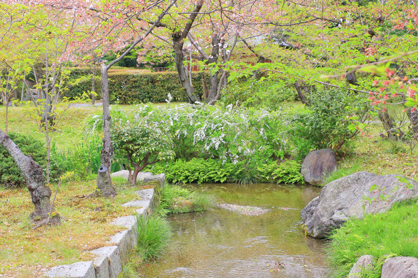 shosei en garden Japanissa
 - Valokuva, kuva