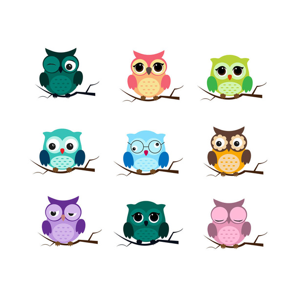 Skupina ptáků. Owls noční ptáci s velkýma očima. Barevná ilustrace - Vektor, obrázek
