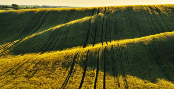 hilly field. picturesque hills. abstract spring field - Photo, Image