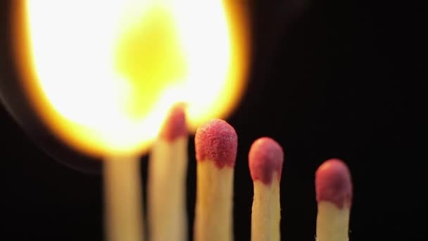 Matches light up one by another in series on black background - Footage, Video
