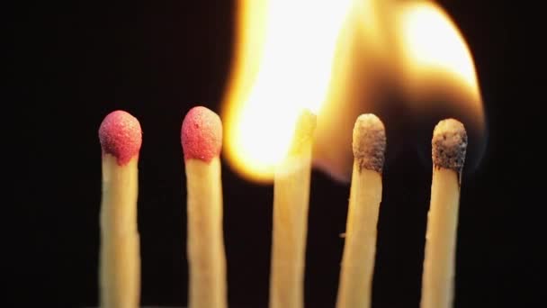 Matches light up one by another in series on black background - Footage, Video