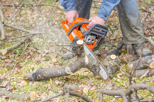 Worker using chain saw and cutting tree branches. - Foto, Imagem