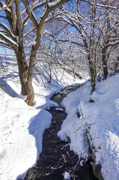 Stream in the winter in a snowy forest. - Foto, imagen