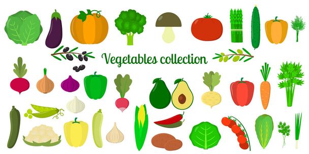 Set collection of vegetables and greens, mega icons set of thirty eight elements on white background. For your design of cards, scrapbooking, crafting. Flat design, vector illustration - Vettoriali, immagini
