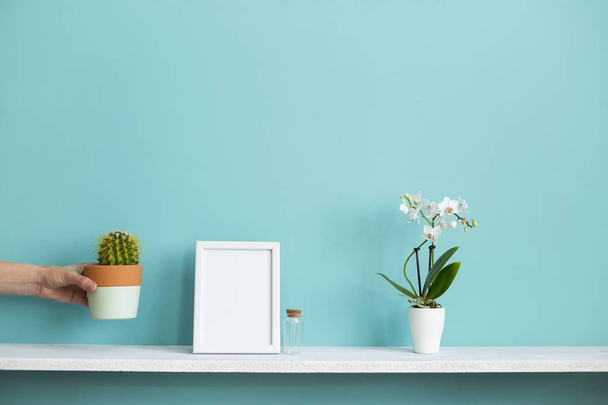 Moderne kamer decoratie met Picture Frame mockup. Witte plank tegen pastel Turquoise muur met ingegoten Orchidee en hand putting down cactus plant. - Foto, afbeelding