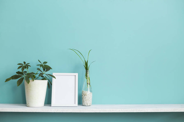 Modern room decoration with Picture frame mockup. White shelf against pastel turquoise wall with spider plant cuttings in water and schefflera. - Foto, immagini