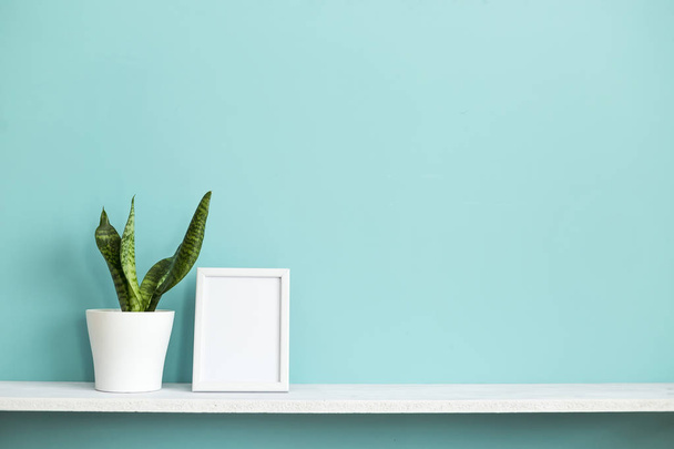 Moderna decoración de la habitación con marco de imagen maqueta. Estante blanco contra pared de color turquesa pastel con planta de serpiente en maceta
. - Foto, Imagen