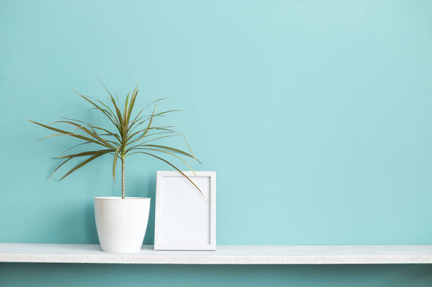 Moderna decoración de la habitación con marco de imagen maqueta. Estante blanco contra pared de color turquesa pastel con maceta planta dracaena
. - Foto, Imagen