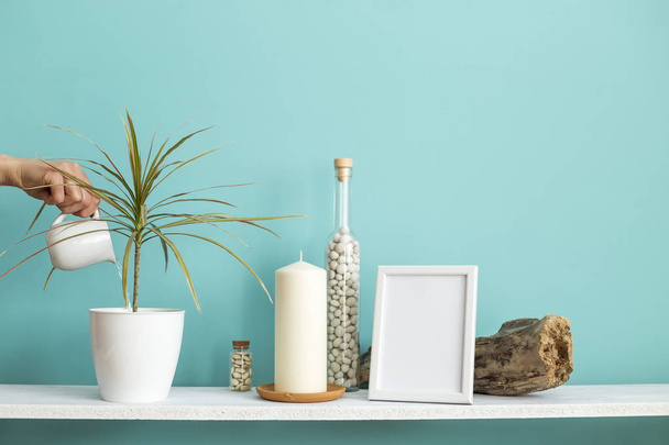 Modern room decoration with Picture frame mockup. White shelf against pastel turquoise wall with Candle and rocks in bottle. Hand watering potted dracaena plant - Photo, Image