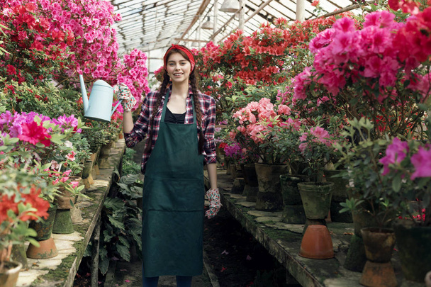 Houkutteleva nuori nainen puutarhuri työvaatteissa punainen otsanauha kastelu värikkäitä kukkia kasvihuoneessa
 - Valokuva, kuva