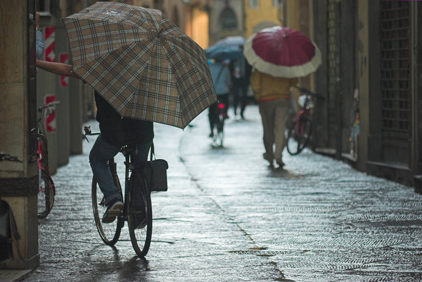 Lucca - city in Tuscany (Italy) founded by Etruscans. - 写真・画像