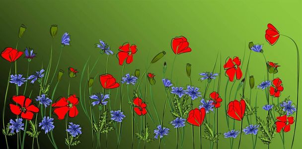 Bouquet of poppies and cornflowers vector illustration eps 10. - Vector, Image