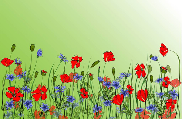 Bouquet of poppies and cornflowers vector illustration eps 10. - Διάνυσμα, εικόνα