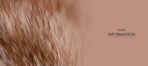 Beige red fur macro villus texture detail nature pattern - Фото, зображення