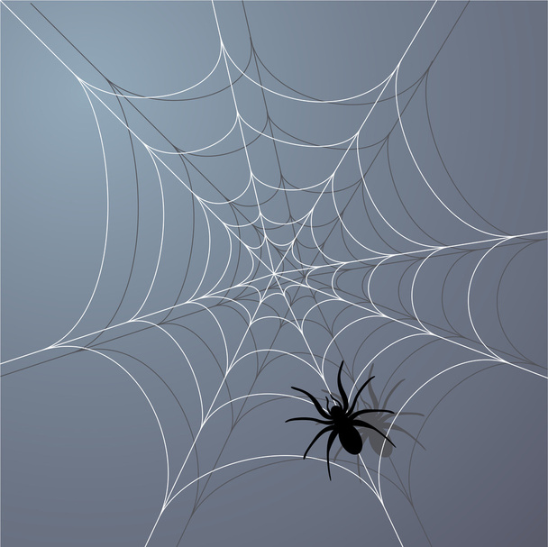 Spider - Vektor, Bild