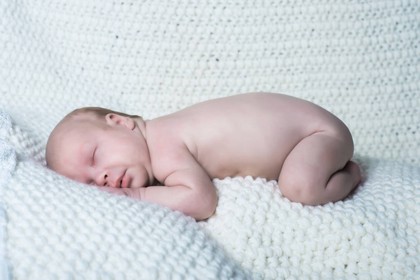 newborn girl on a blanket - 写真・画像