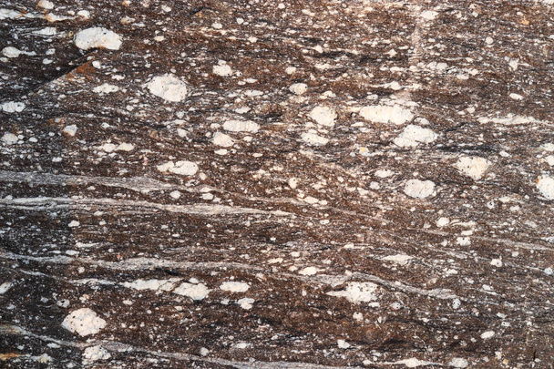 Gneiss stone texture - background - Фото, зображення