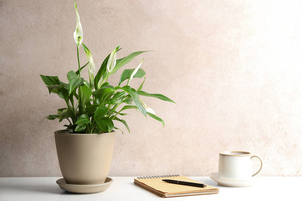 Composition with peace lily, notebook and cup on table against color wall. Space for text - Photo, image