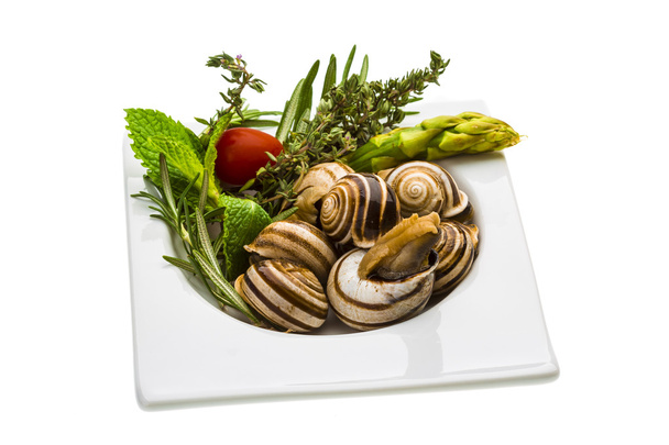 Escargot met asperges, rozemarijn, zwezerik en tomaat - Foto, afbeelding