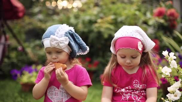 Adorables niñas en sombreros de verano comiendo deliciosas galletas en el jardín
. - Imágenes, Vídeo