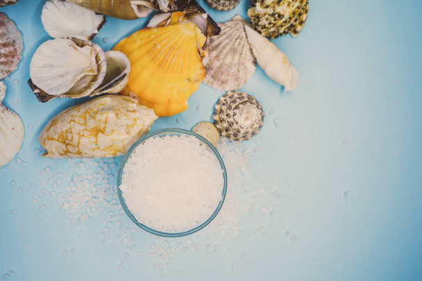 Shells and sea salt background - Photo, Image
