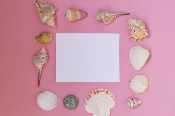 Empty white sheet of paper for text on a pink background. Background with shells and pebbles. - Foto, immagini